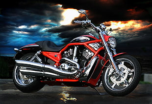 black and red cruiser motorcycle, Harley Davidson, motorcycle, VRSC