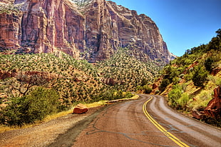 curving road between plants and canyon, zion national park HD wallpaper