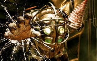 photo of gold-colored character HD wallpaper