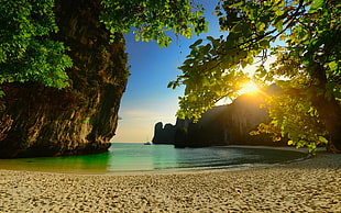 white seashore near rock formation under green leaf tree at golden hour