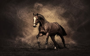 brown horse illustration, horse, animals HD wallpaper