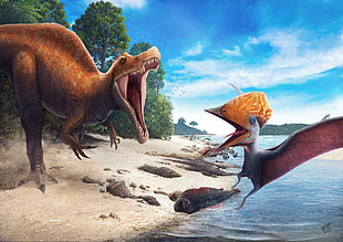 dinosaurs illustrations HD wallpaper