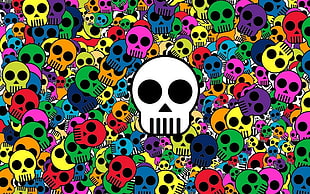 skull head illustration