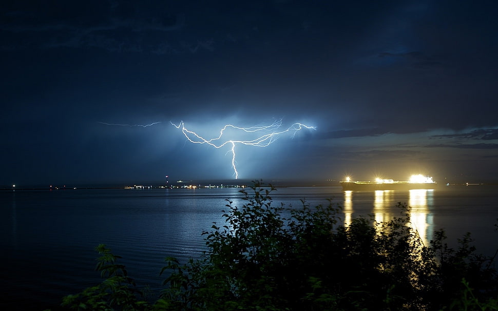 green leaf tree, lightning HD wallpaper