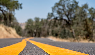 focus photo of a yellow printed road
