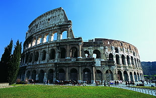 Coliseum, Italy HD wallpaper
