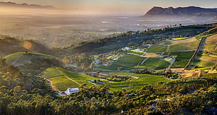 green grass field, Cape Town, constantia, vineyard, mountains HD wallpaper