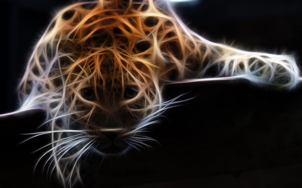 brown and gray leopard illusion photo HD wallpaper