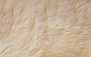 yellow fur textile