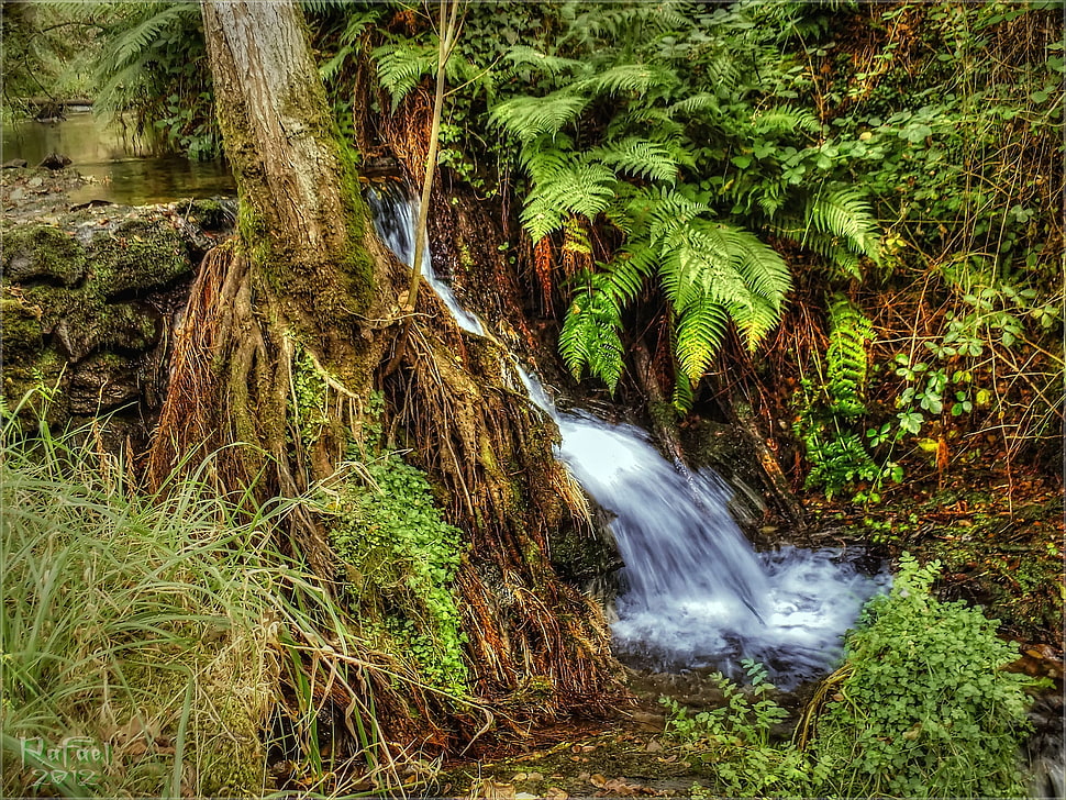 photo of waterfalls near trees HD wallpaper