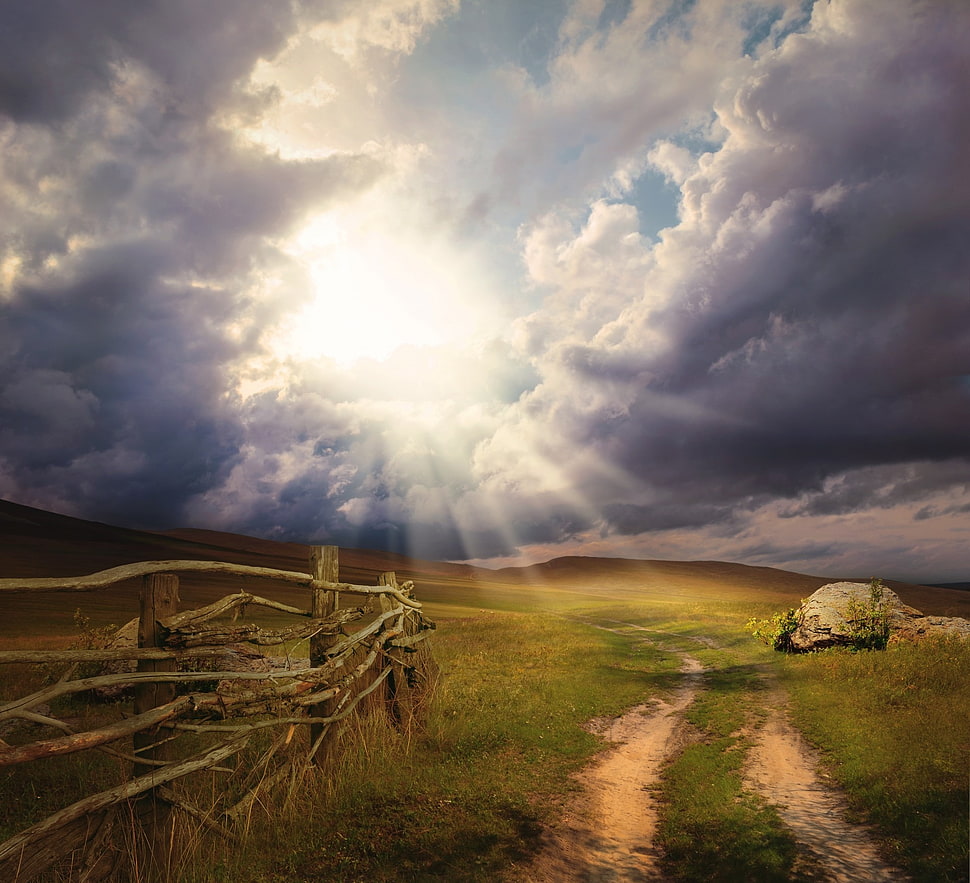 green field HD wallpaper