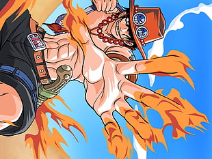 Portgas D' Ace illustration, One Piece, anime, Portgas D. Ace