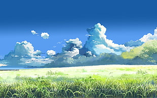 green grass near mountain, Makoto Shinkai , 5 Centimeters Per Second, field, clouds HD wallpaper