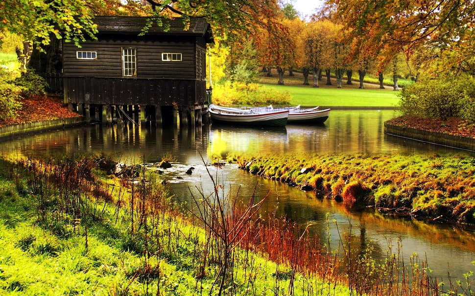 photography of two white boats on river near brown wooden house and tall trees during daytime HD wallpaper