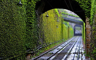 train track in between tunnel, photography, railway, tunnel, green HD wallpaper