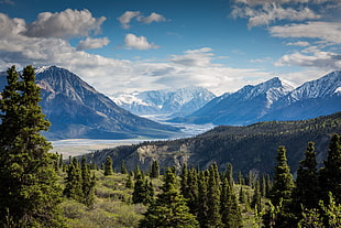 green trees near mountains during daytime
