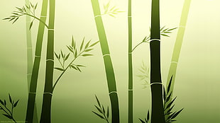 white and green wooden wardrobe, bamboo, vector art, leaves