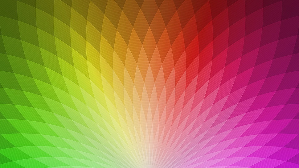 multicolored digital wallpaper HD wallpaper