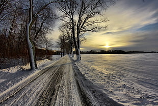 pathway covered with snow during daytime HD wallpaper