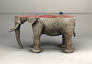 gray elephant figurine, artwork, animals, digital art, elephant HD wallpaper