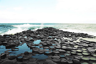 brown and black wooden board, Giant's Causeway, sea, sky, rock formation HD wallpaper