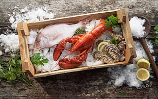 lobster,clamps and fish on brown wooden crate HD wallpaper