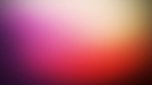 Spot,  Background,  Dark