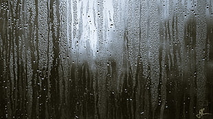 glass panel, rain, water drops, water on glass