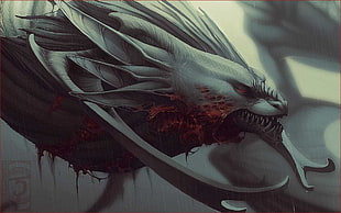 gray dragon digital wallaper, dragon
