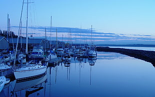 white sailing boat lot, water, evening, boat, coast