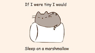 gray cat cartoon, humor, marshmallows, quote, cat