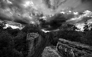 train tracks in grayscale photography HD wallpaper