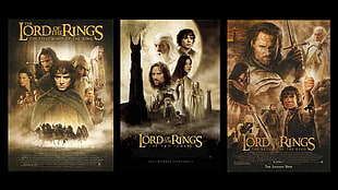 The Lord of the Rings series, Trilogy, The Lord of the Rings, The Lord of the Rings: The Fellowship of the Ring, The Lord of the Rings: The Two Towers HD wallpaper