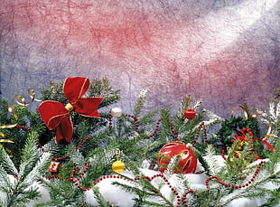 red and green christmas-themed decor HD wallpaper