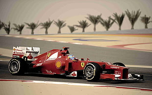 red Ferrari F1 race car on race track during daytime HD wallpaper
