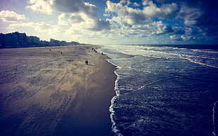 brown sea sand, beach, sea, sand, sky HD wallpaper
