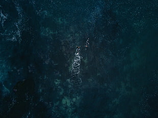 aerial photo of ocean, nature, water, drone photo