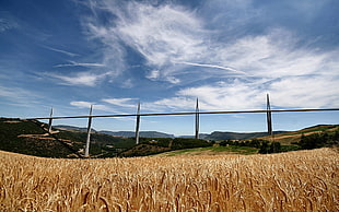 brown field landscape photography HD wallpaper