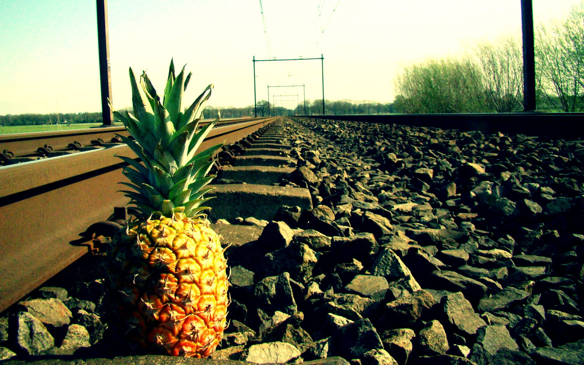 yellow and green pineapple fruit, pineapples, railway, fruit
