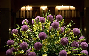 purple Allium flower arrangement