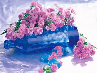 pink daisy flowers and blue glass bottle