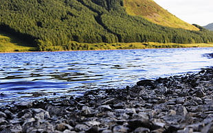 gray stone lot, Scotland, nature, landscape, lake HD wallpaper