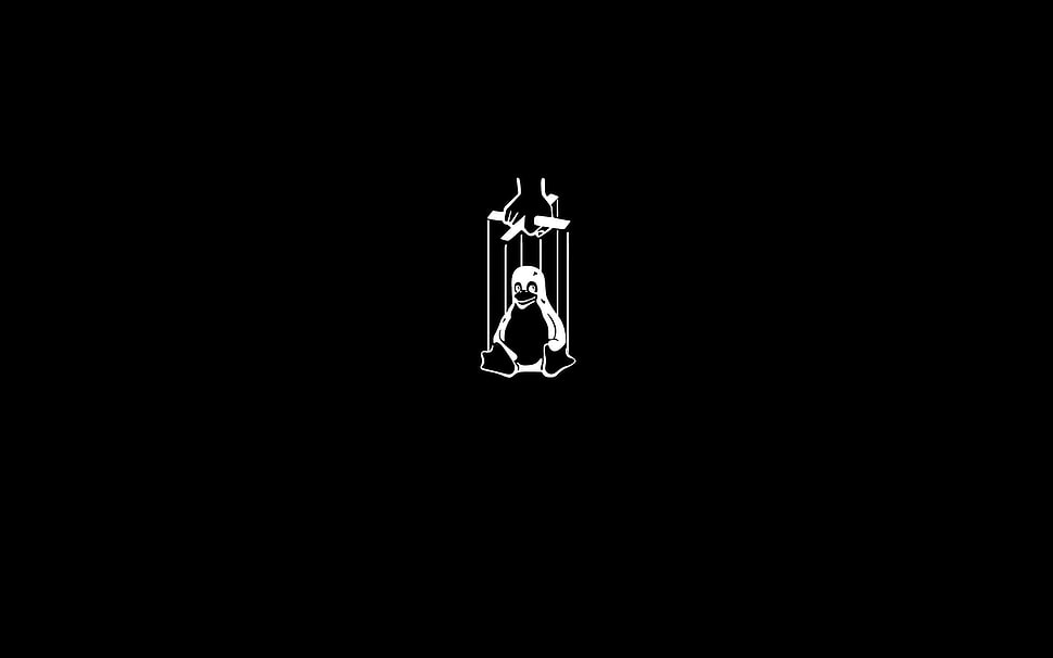 black and white penguin puppet illustration HD wallpaper