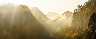 silhouette of mountains  surrounded by trees