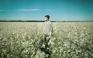 man in gray v-neck shirt standing at the middle of green flower fields HD wallpaper