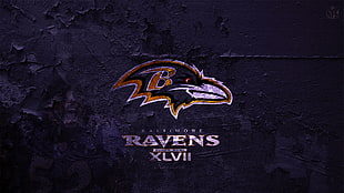 Baltimore Ravens banner HD wallpaper