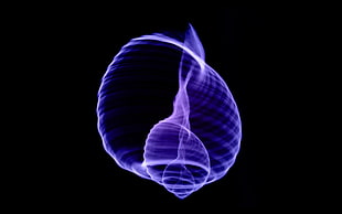 illustration of sperm cell