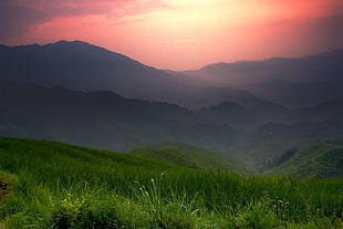green field, landscape, sunset, grass, mountains