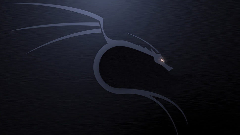 gray and black dragon poster HD wallpaper