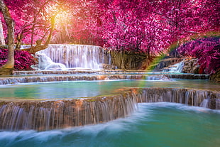landscape photography of waterfalls